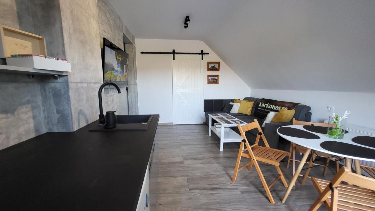 Swit - Apartament W Jezowie Sudeckim Jezow Sudecki Zewnętrze zdjęcie